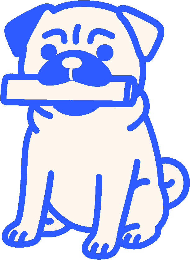 small dog